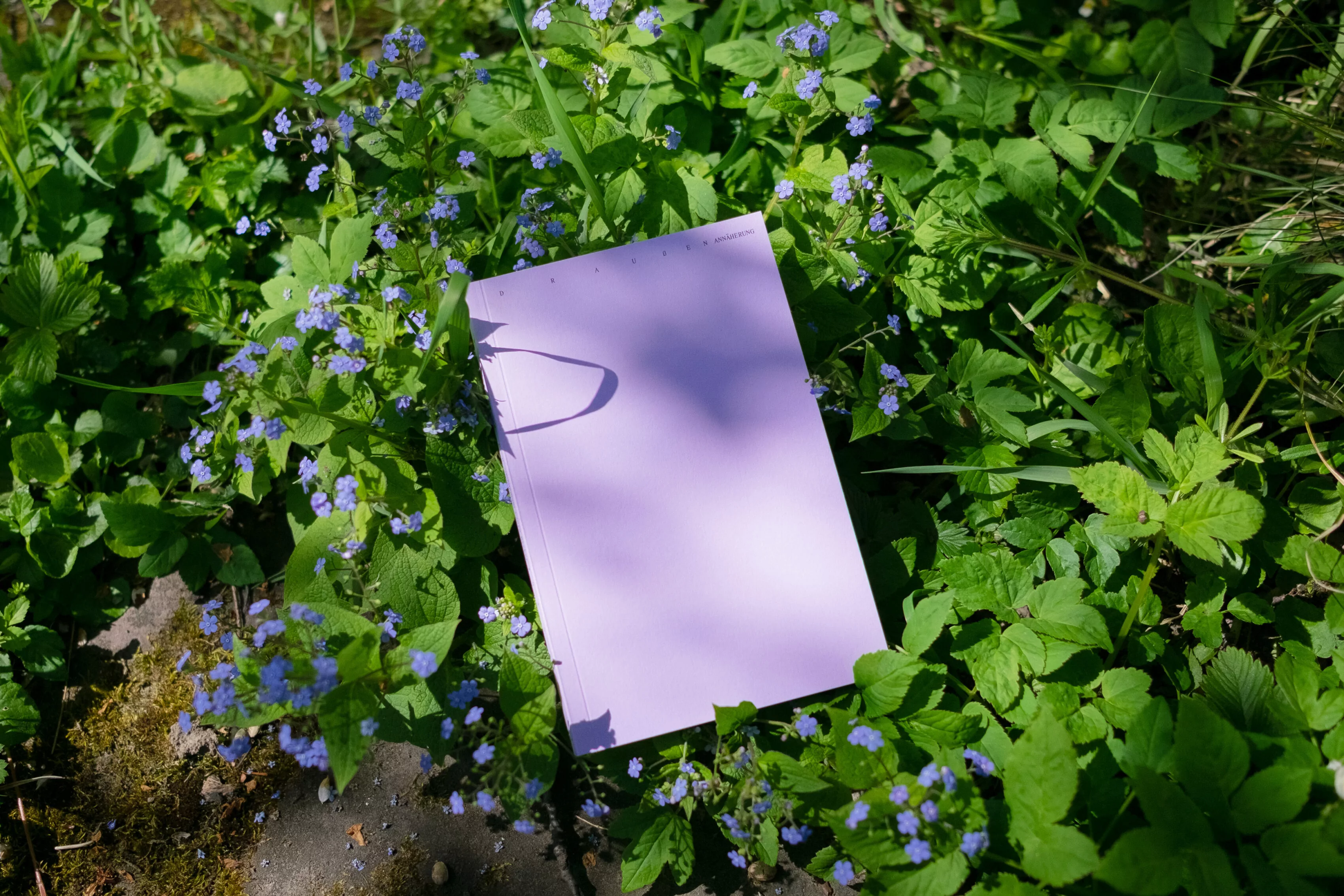 Book for Artist Laura Becker