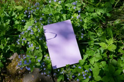 Book for Artist Laura Becker