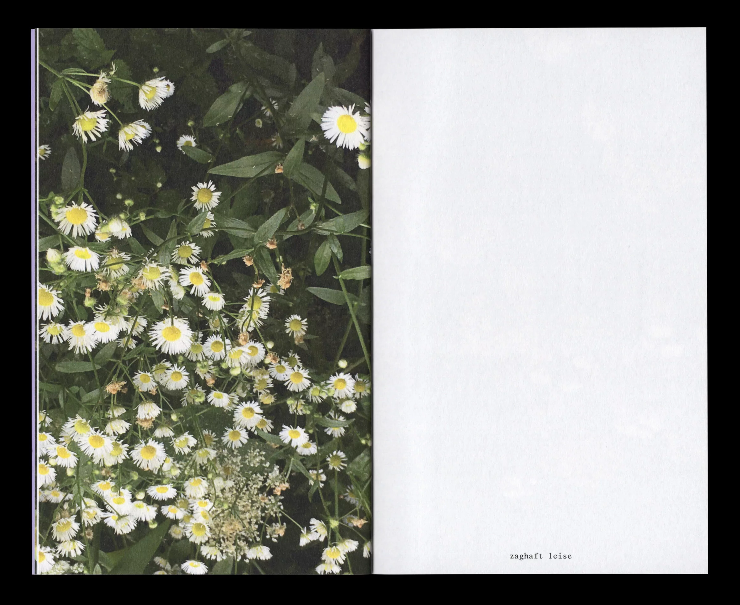 Book for Artist Laura Becker