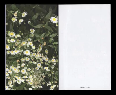 Book for Artist Laura Becker