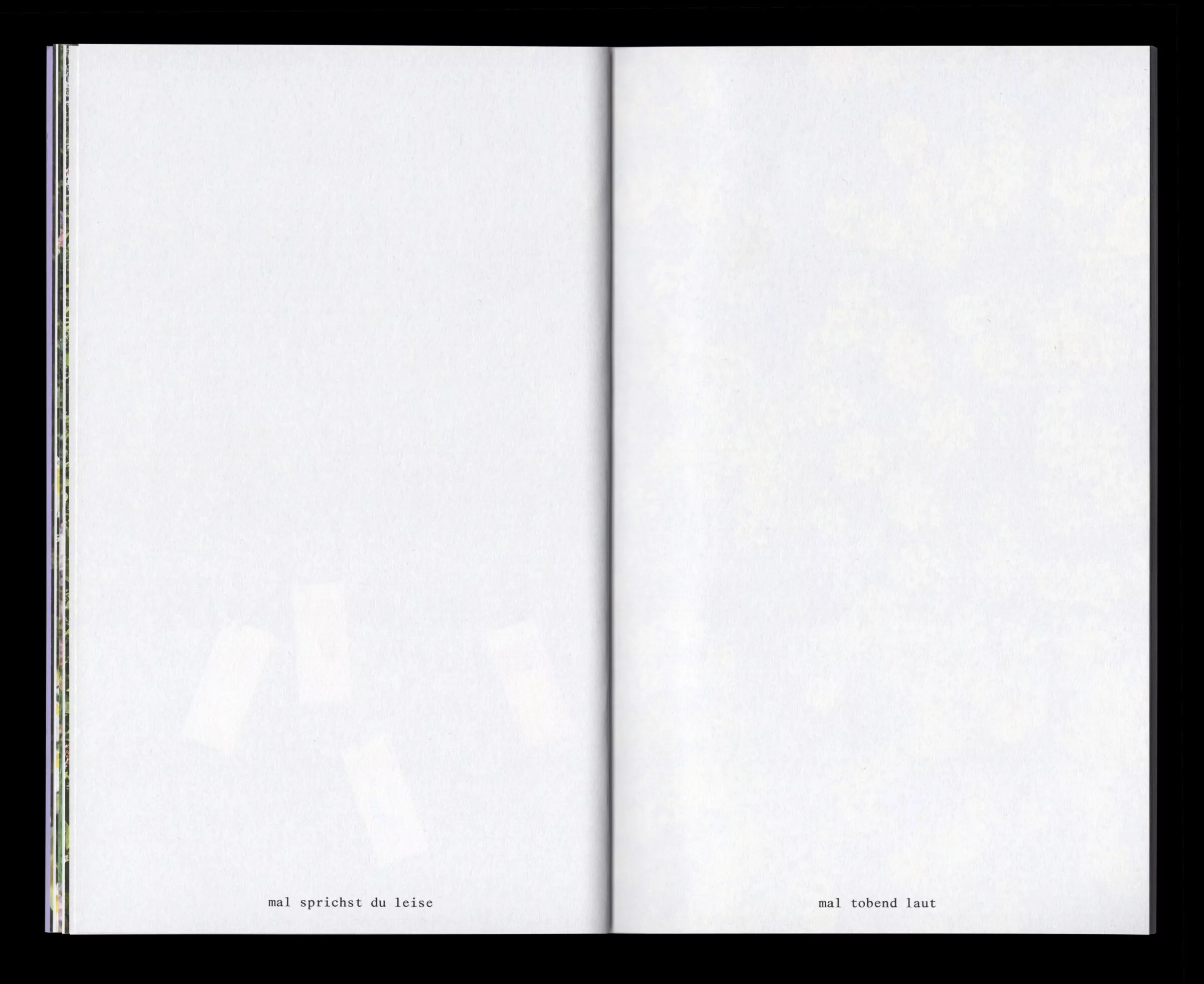 Book for Artist Laura Becker