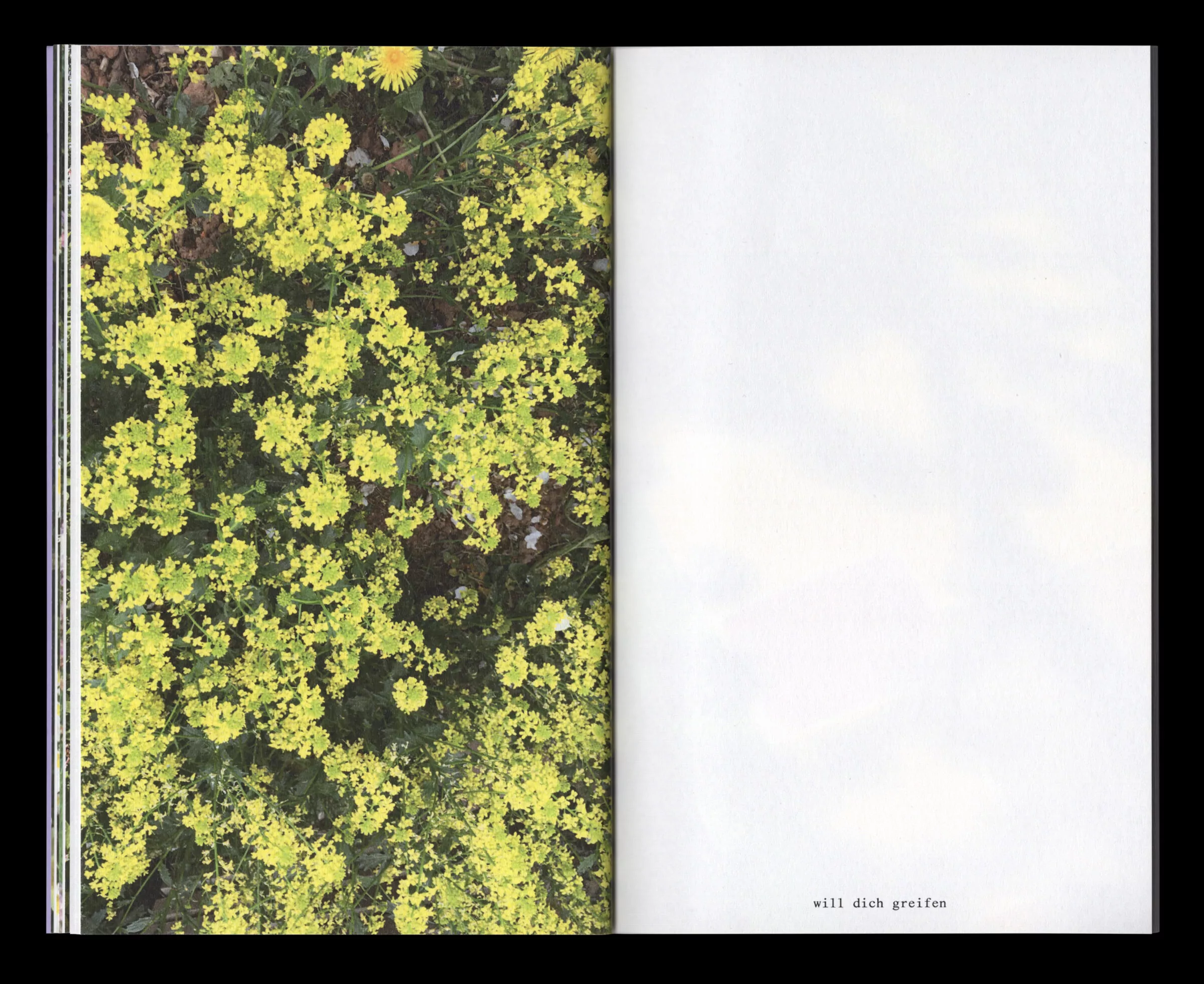 Book for Artist Laura Becker