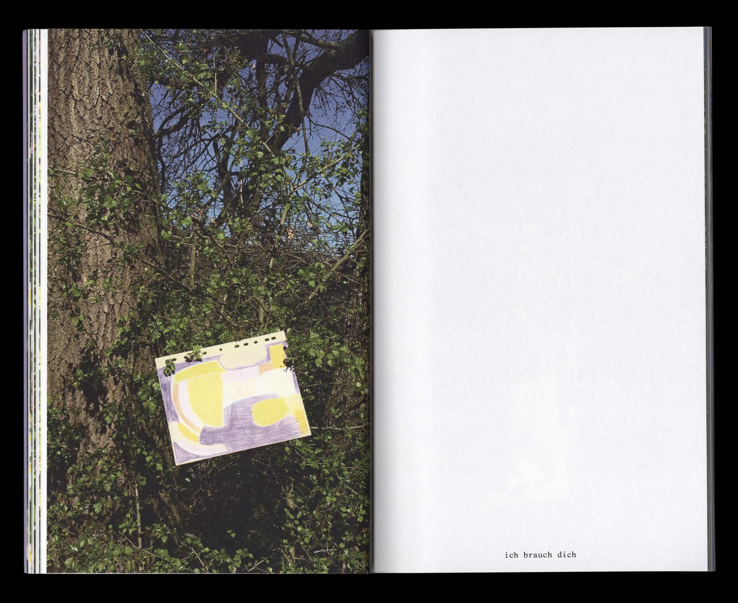 Book for Artist Laura Becker