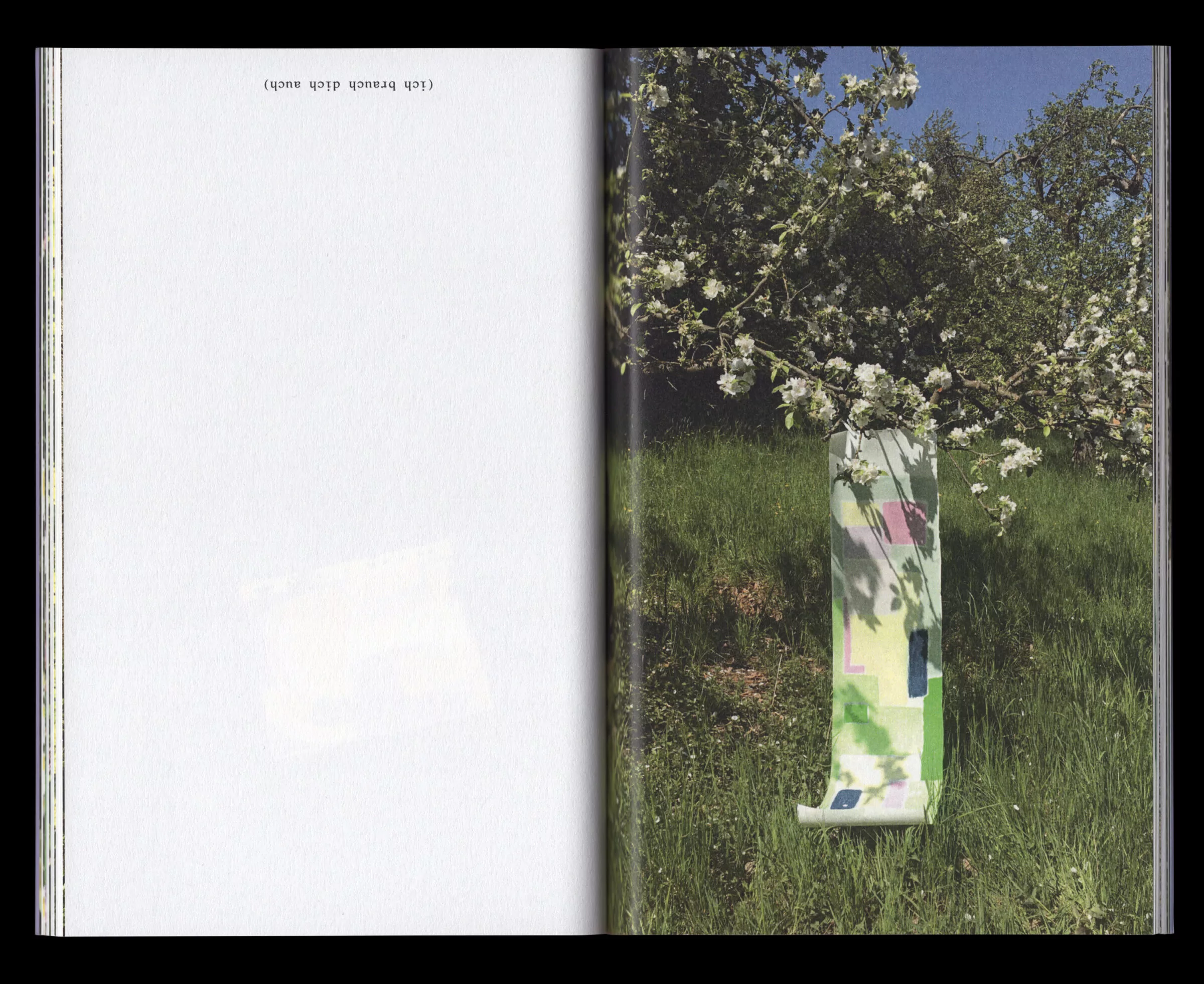 Book for Artist Laura Becker