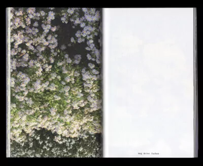 Book for Artist Laura Becker