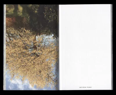 Book for Artist Laura Becker