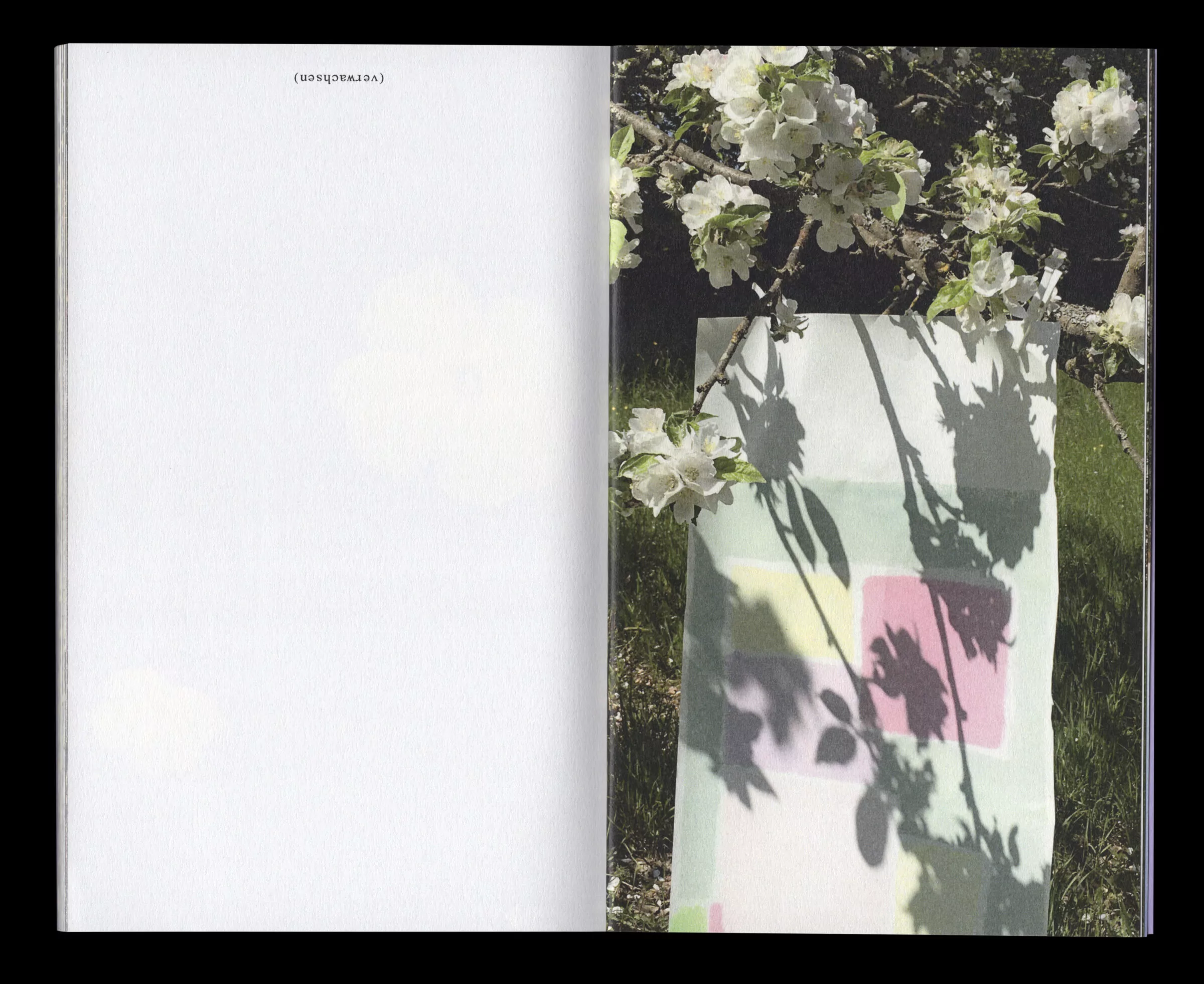 Book for Artist Laura Becker