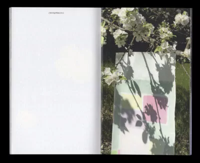 Book for Artist Laura Becker