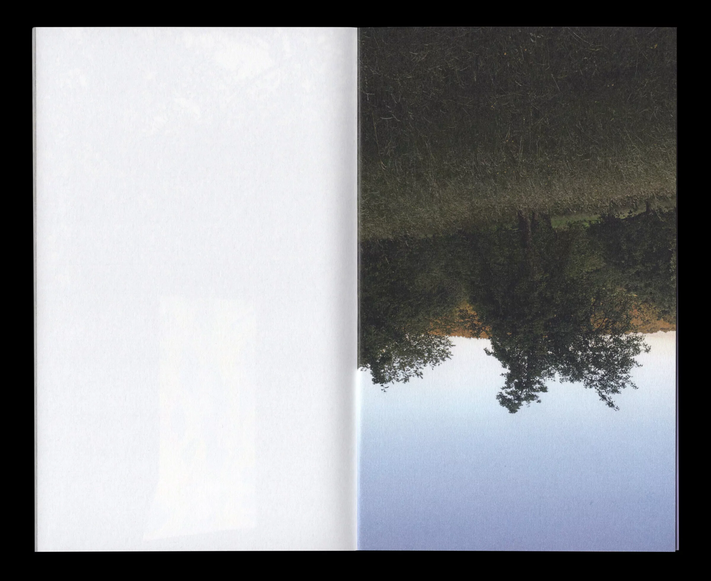 Book for Artist Laura Becker