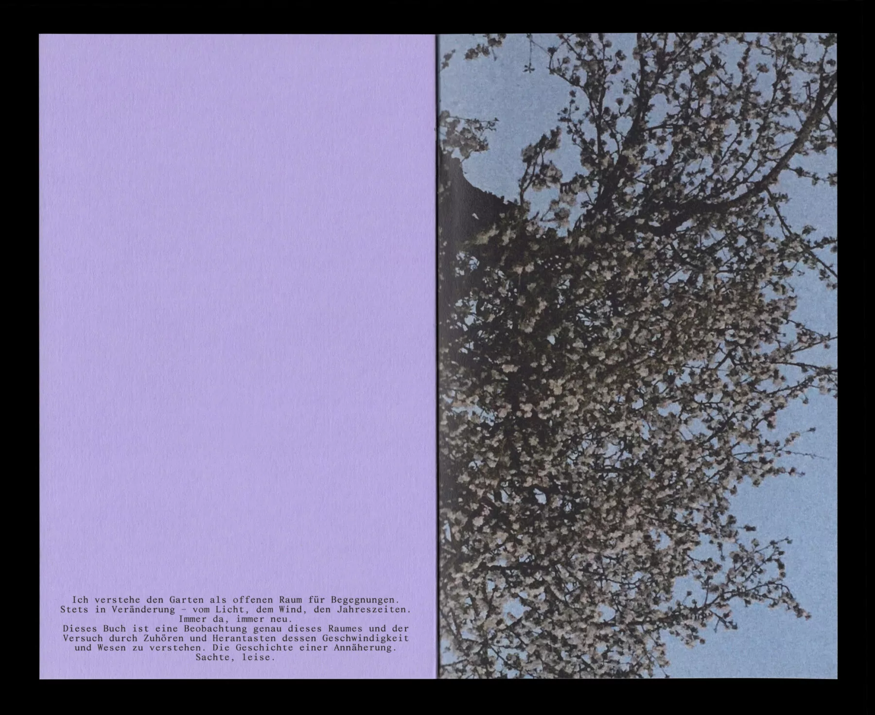 Book for Artist Laura Becker