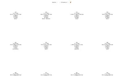 Website for Anima Ona‘s Archaeology of a city mine