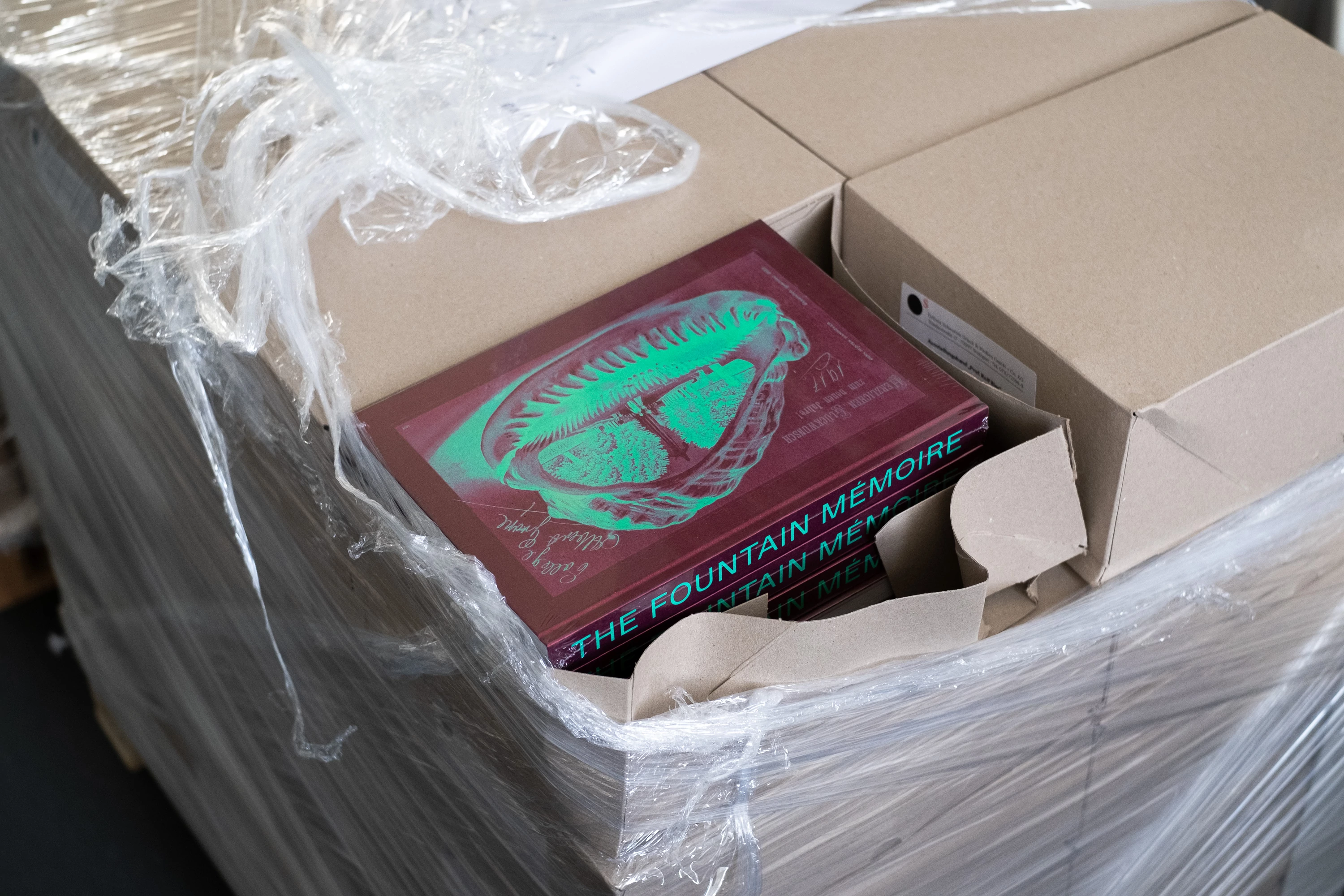 Book for Prof. Rolf Bier and his Exhibition The Fountain Mémoire